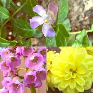 Welcome to my Closet!